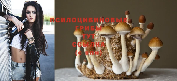 спиды Пестово