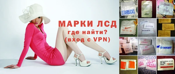 прущий лед Алзамай