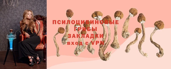 прущий лед Алзамай