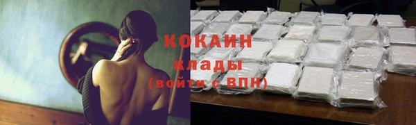 прущий лед Алзамай