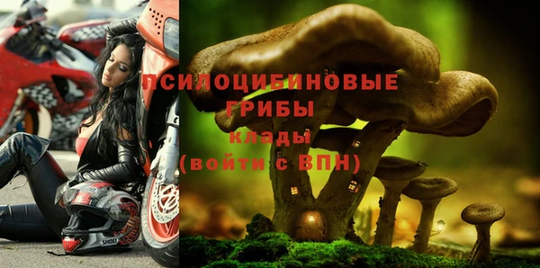не бодяженный Алексин