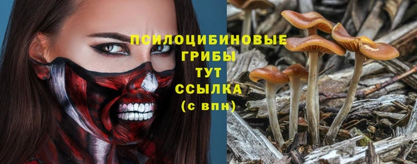 2c-b Алексеевка