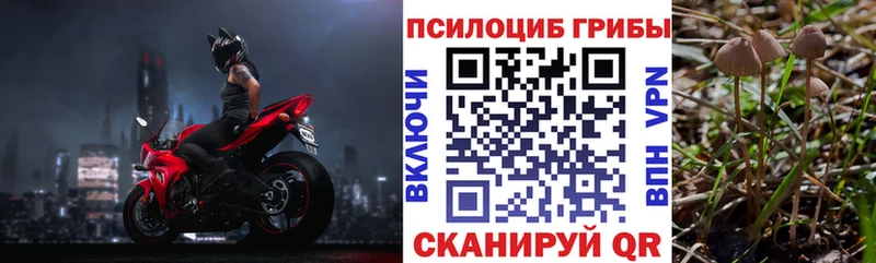 мега сайт  купить   Динская  Галлюциногенные грибы Psilocybine cubensis 